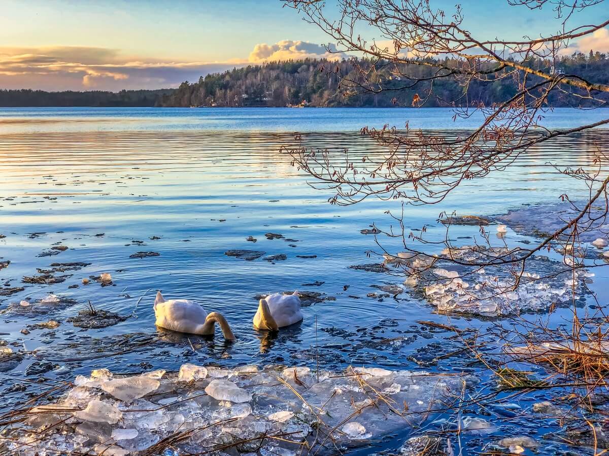 Frozen lakes in the Stockholm Archipelago - one of the can't miss destinations in Sweden