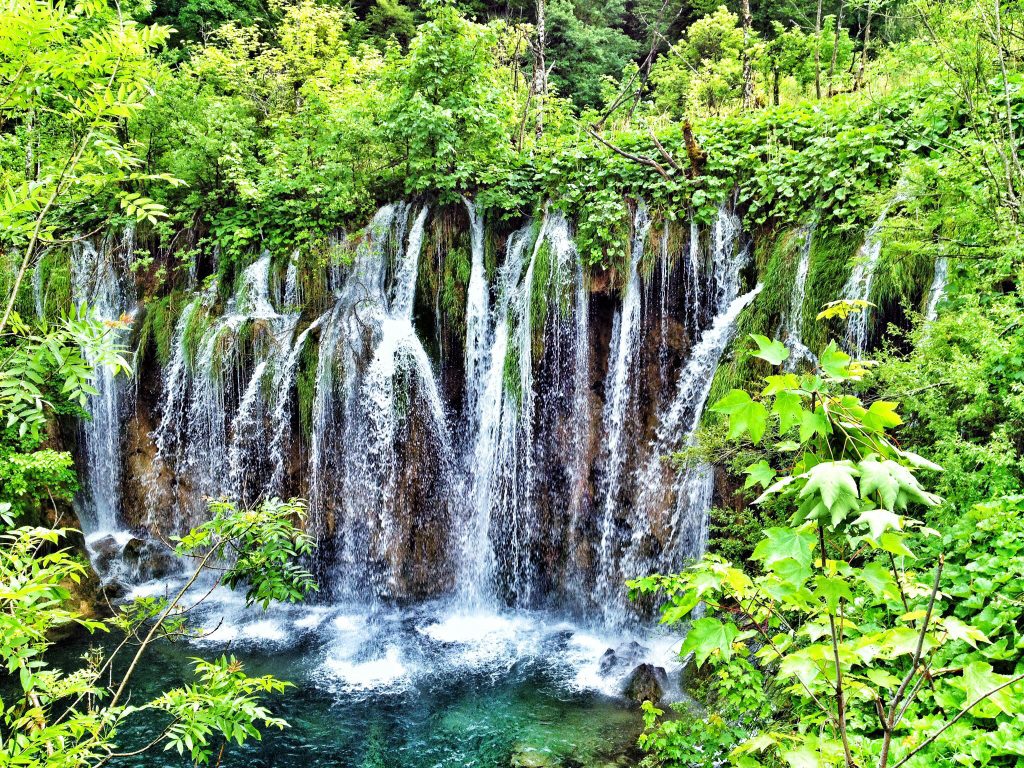 Dozens of amazing waterfalls surrounded by vibrant green brush