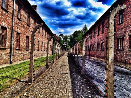 Visit Auschwitz as a day trip from Krakow
