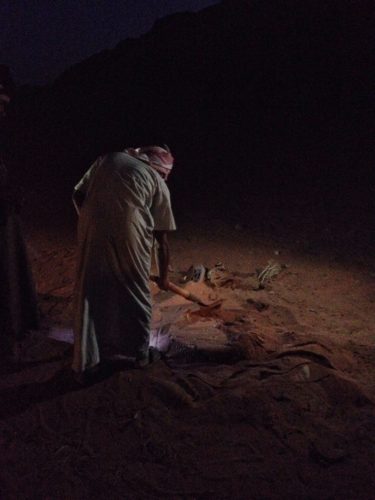 A Bedouin digging up dinner in the desert at nighttime