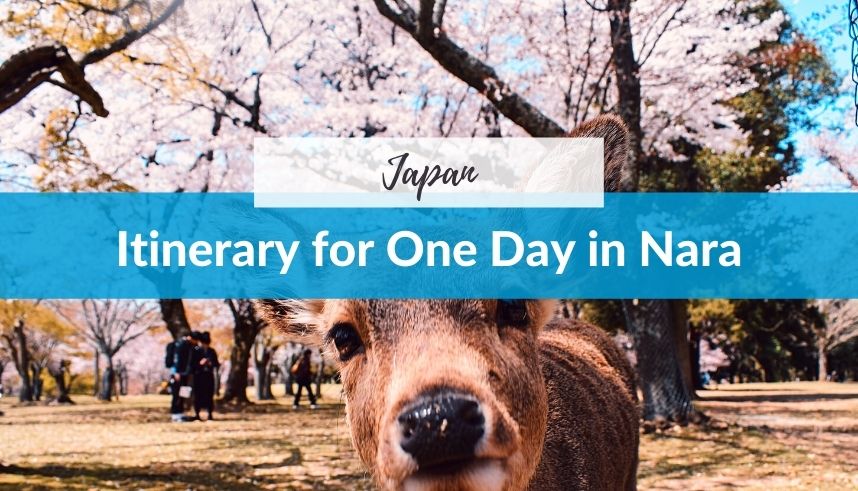 How to Spend One Day in Nara, Japan