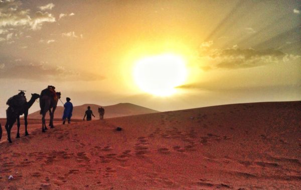 Sunrise Camel Ride into the Sahara Desert