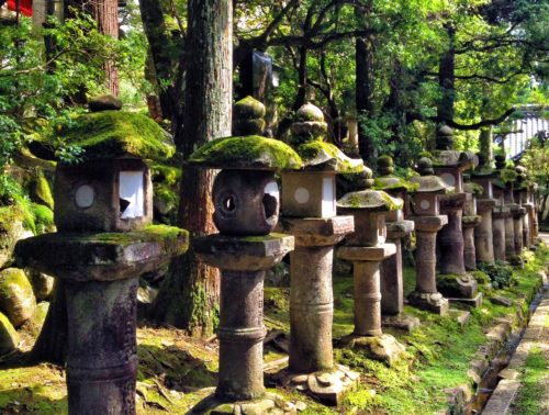 Rows of large stone, moss covered lanterns in the woods
