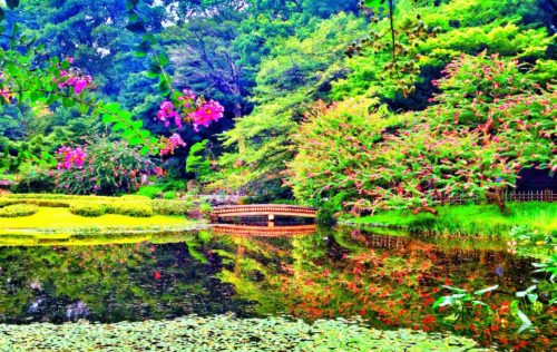 Imperial Palace East Garden