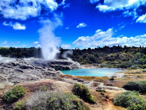 Geothermal Activity in Rotorua