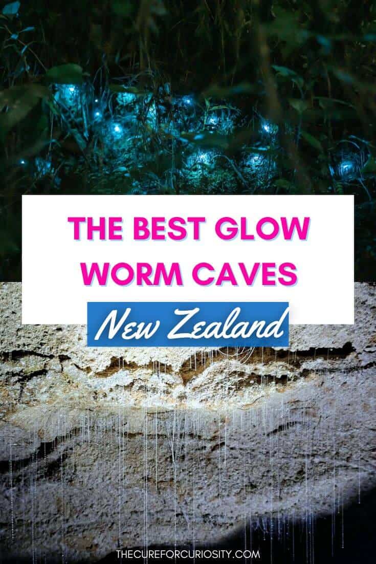 The Best Glow Worm Caves in New Zealand