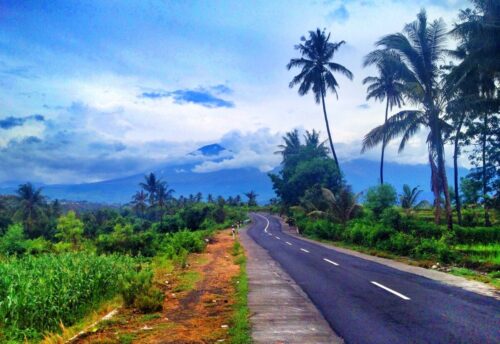 The wild roadside beauty and palm trees in Lombok