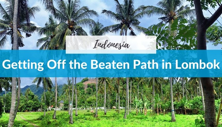 Getting Off the Beaten Path in Lombok header image with wild palm trees in the background