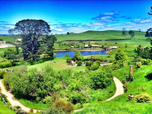 The picturesque scenery of "Middle Earth" at Hobbiton