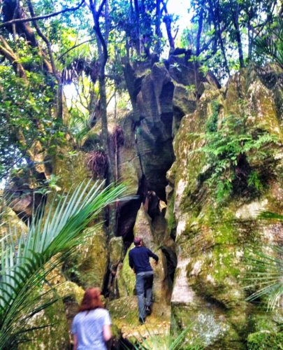 Searching for glow worms at Abbey Caves, New Zealand