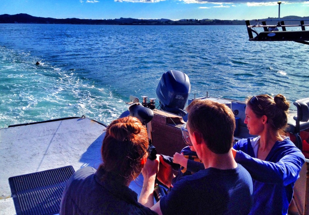 Family duck shooting in the Bay of Islands aboard the Rock Overnight Adventure Cruise