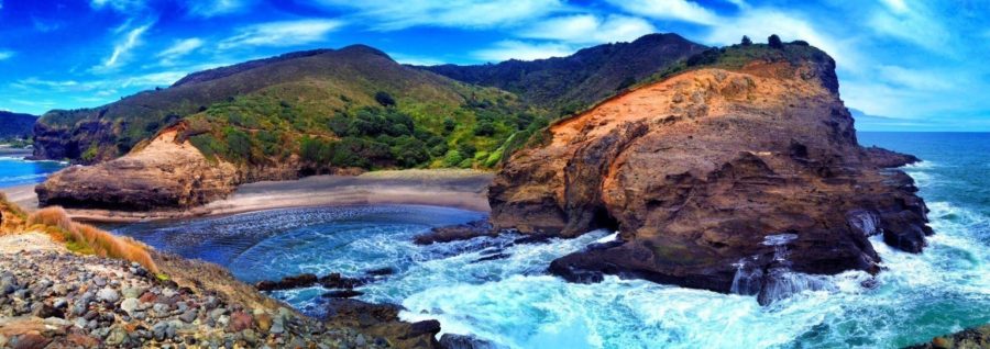 The cove at Piha, New Zealand