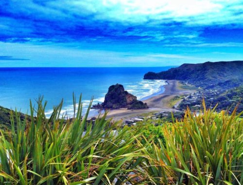 First views on our day trip to Piha Beach