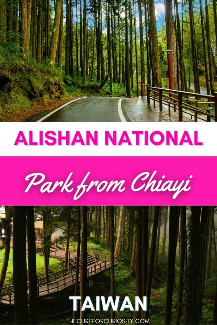 Scenic forest path at Alishan National Scenic Area in Taiwan.