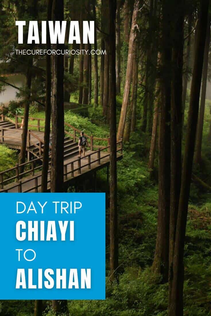Scenic view of Alishan forest with walking trail and tall trees in Taiwan.