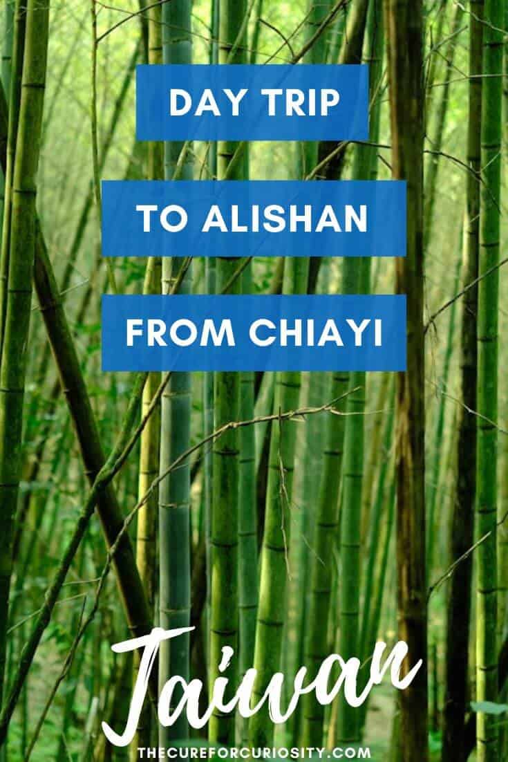 Scenic bamboo forest in Alishan with travel guide overlay.