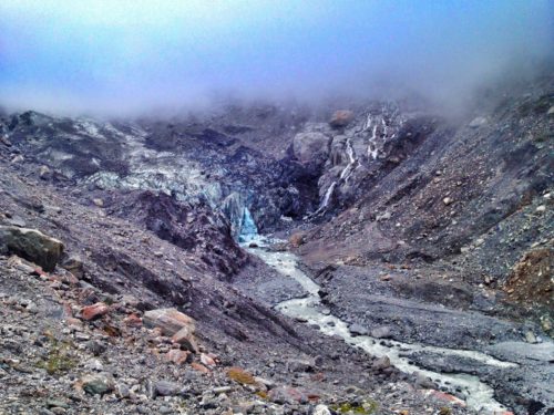 Fox Glacier on the South Island of New Zealand