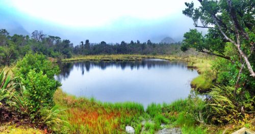 Peters Pool at Franz Josef Glacier, covered in fog