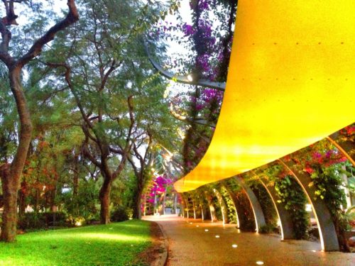 The covered walkways of Brisbane, Australia