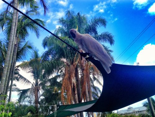 Airlie Beach, Australia