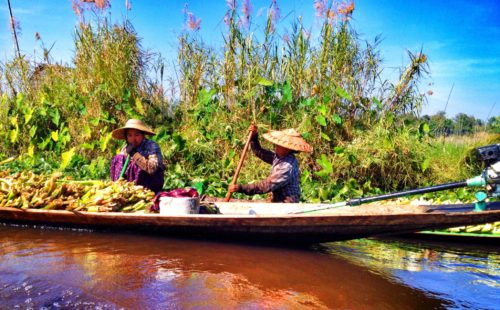 The local transportation around Inle Lake are the flat boats like shown here