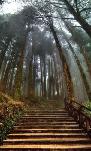 Alishan National Park, Taiwan