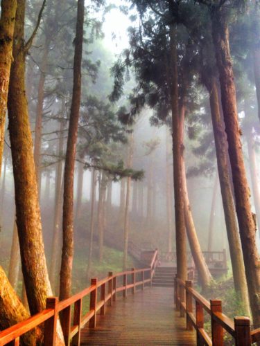 AIishan National Park, Taiwan