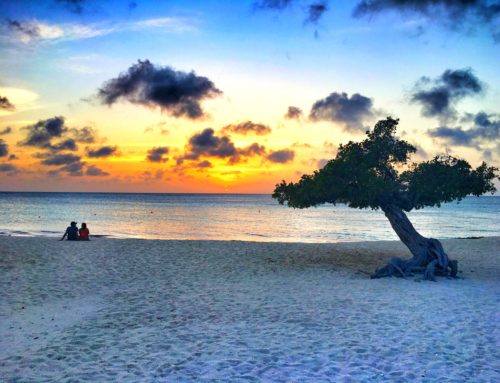 Sunset over the water with a Divi Tree picturesquely leaning in the sand