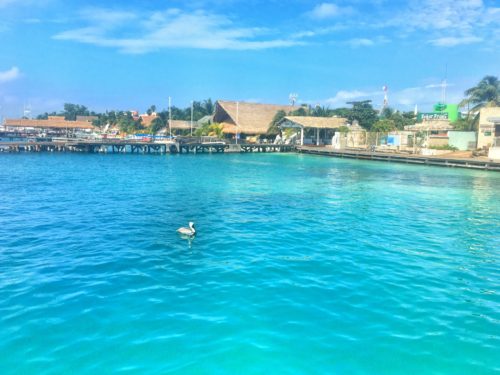 Arriving to the blue water of Isla Mujeres