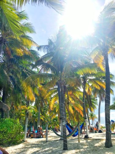 Palm trees and hammocks on Playa Norte