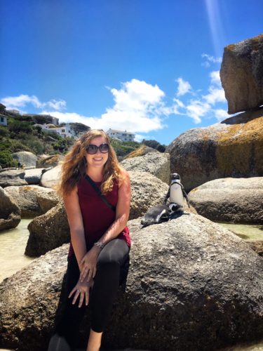 Visiting the penguins of Boulder Beach
