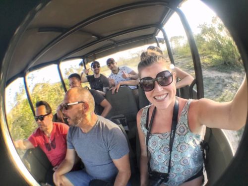 Safari vehicle and group