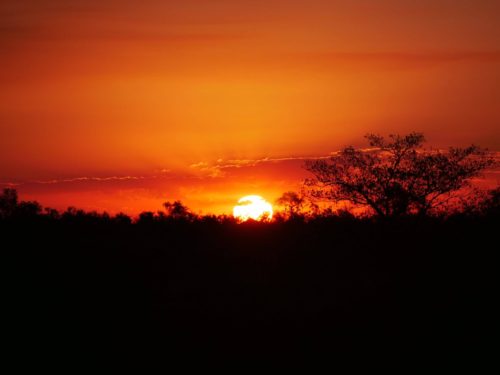Sunset over Kruger National Park