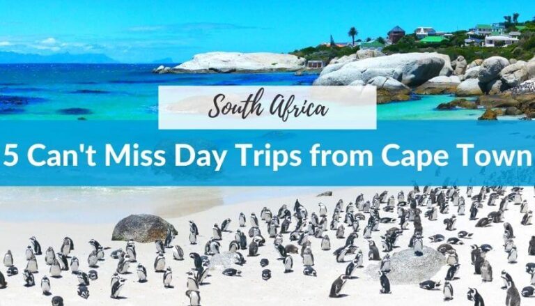 Top 3 Day Trips from Cape Town