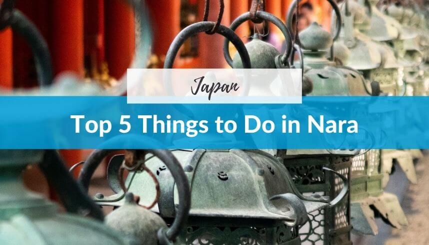 Top 5 Things to Do in Nara