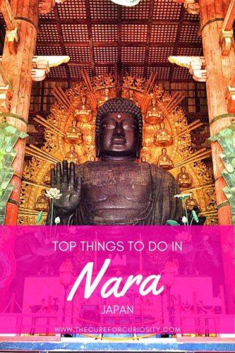Top Things to Do in Nara, Japan