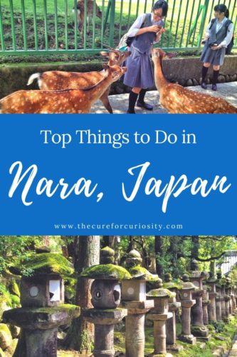 Pinterest tile of 5 best things to do in Nara, Japan