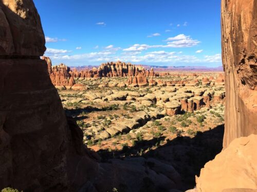 Chesler Park in the Needles at Canyonlands National Park on a sunny day