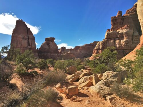 Views while hiking through the Needles District featuring colorful rock spires