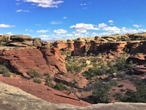 Views while hiking in the Needles District of Canyonlands National Park
