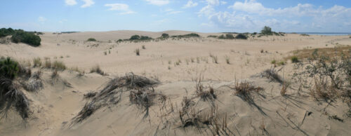 The expansive sand dunes