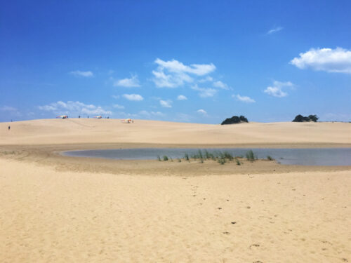 Hang Gliding in the sand dunes of Jockey's Ridge State Park