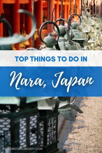 Top Things to Do in Nara, Japan