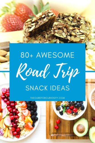 80+ Awesome Road Trip Snack Ideas