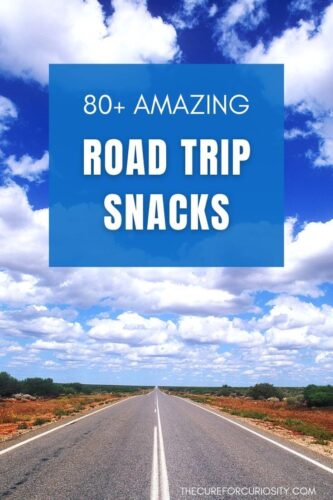 80+ Amazing Road Trip Snacks