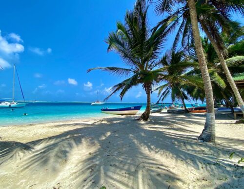 A white sand beach, turquoise water, and palm trees which are casting a shadow over the beach.