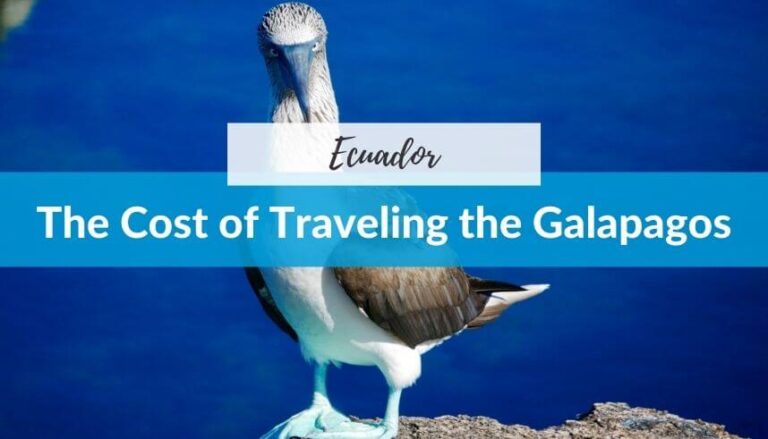 The Cost of Traveling the Galapagos Islands