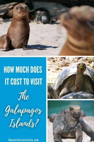How much does it cost to visit the Galapagos Islands?