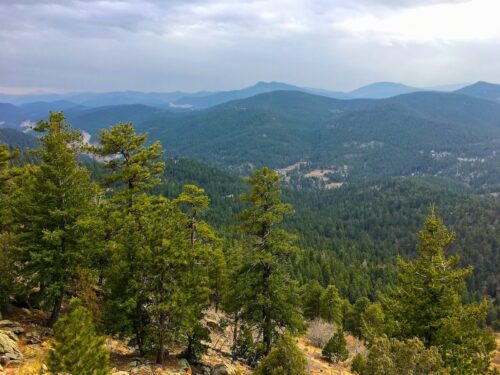 Mount Falcon Castle Trail
