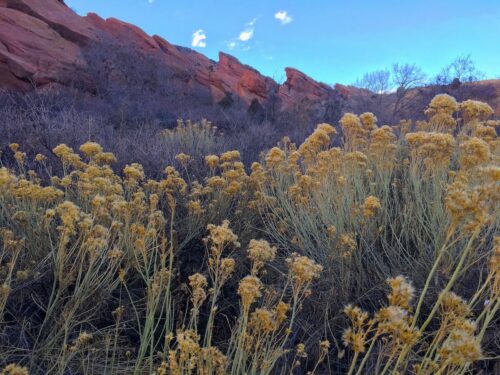 Red Rocks Trail with stunning red rock scenery